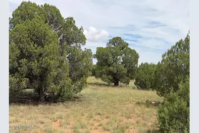 86 N5535 Road, Concho, AZ 85924 - Photo 3