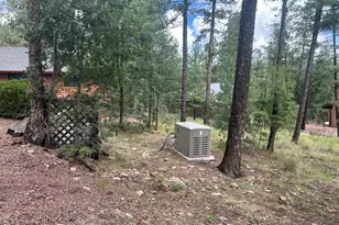 10 Co Rd 2074, Alpine, AZ 85920 - Photo 49