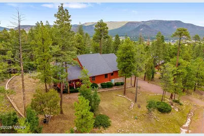 10 County Road 2074, Alpine, AZ 85920 - Photo 37