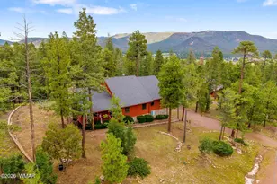 10 Co Rd 2074, Alpine, AZ 85920 - Photo 37