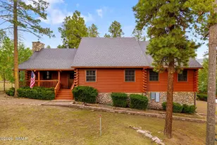 10 Co Rd 2074, Alpine, AZ 85920 - Photo 3