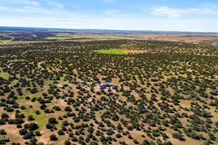 2447 Zaidee Rd, Show Low, AZ 85901 - Photo 41