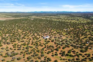 2447 Zaidee Rd, Show Low, AZ 85901 - Photo 37