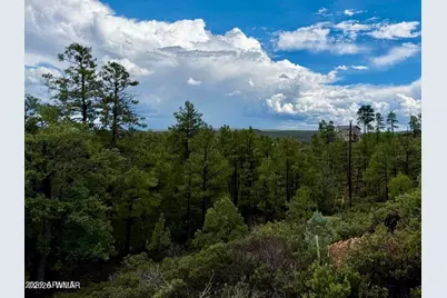 6292 Fawn Lane, Show Low, AZ 85901 - Photo 3