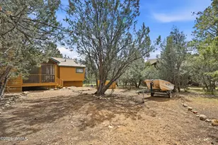 2803 Dogleg Way, Overgaard, AZ 85933 - Photo 41