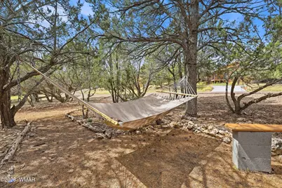 2803 Dogleg Way, Overgaard, AZ 85933 - Photo 39