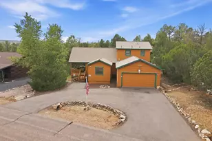 2803 Dogleg Way, Overgaard, AZ 85933 - Photo 43
