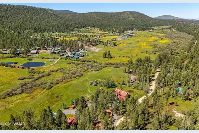 61 County Road 1121, Greer, AZ 85927 - Photo 3