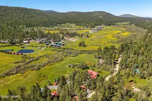 61 County Road 1121, Greer, AZ 85927 - Photo 3