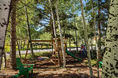 61 County Road 1121, Greer, AZ 85927 - Photo 57