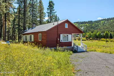 61 County Road 1121, Greer, AZ 85927 - Photo 101