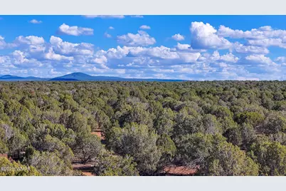 8026 Colt Ln. Lot 4, Show Low, AZ 85901 - Photo 19