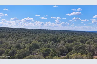 8026 Colt Ln. Lot 4, Show Low, AZ 85901 - Photo 21