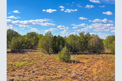 8026 Colt Ln. Lot 4, Show Low, AZ 85901 - Photo 15