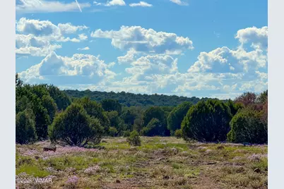 8026 Colt Ln. Lot 4, Show Low, AZ 85901 - Photo 11