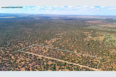 8026 Colt Ln. Lot 4, Show Low, AZ 85901 - Photo 3