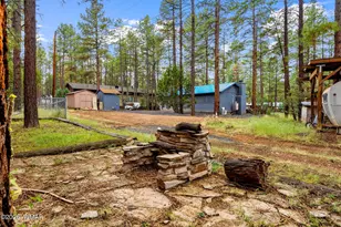 2974 Mogollon Dr, Overgaard, AZ 85933 - Photo 29
