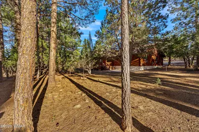 2202 Forest Park Drive, Overgaard, AZ 85933 - Photo 13
