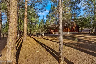 2202 Forest Park Dr, Overgaard, AZ 85933 - Photo 13