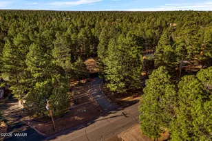 2202 Forest Park Dr, Overgaard, AZ 85933 - Photo 47