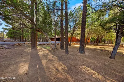 2202 Forest Park Drive, Overgaard, AZ 85933 - Photo 15