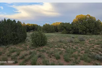 3908 Hidden Ranch Road, Snowflake, AZ 85937 - Photo 9