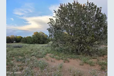 3908 Hidden Ranch Road, Snowflake, AZ 85937 - Photo 3