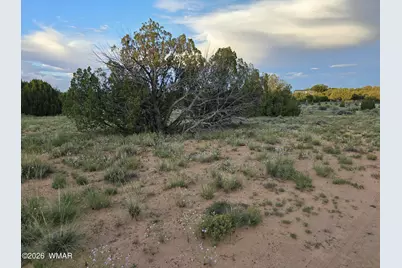 3908 Hidden Ranch Road, Snowflake, AZ 85937 - Photo 7