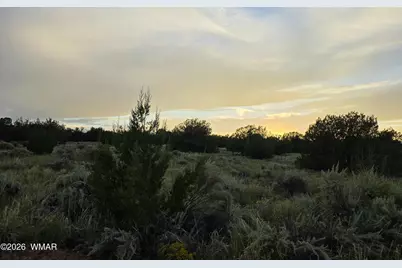 3908 Hidden Ranch Road, Snowflake, AZ 85937 - Photo 13