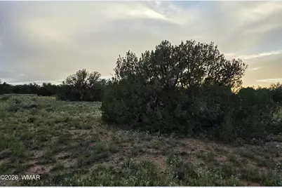 3908 Hidden Ranch Road, Snowflake, AZ 85937 - Photo 11