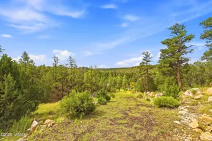 1740 Eskimo Ln, Heber, AZ 85928 - Photo 1