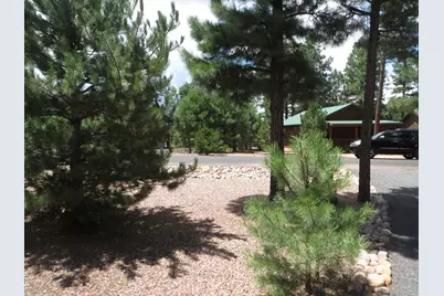 2645 Palomino Trail, Overgaard, AZ 85933 - Photo 7