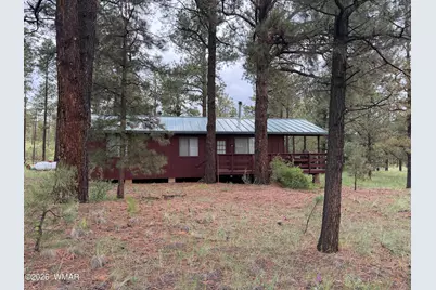 3 County Road N1040 Street, Eagar, AZ 85925 - Photo 5