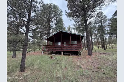 3 County Road N1040 Street, Eagar, AZ 85925 - Photo 23