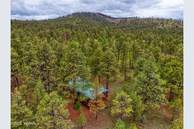 3 County Road N1040 Street, Eagar, AZ 85925 - Photo 25