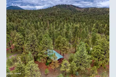 3 County Road N1040 Street, Eagar, AZ 85925 - Photo 3