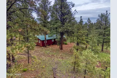 3 County Road N1040 Street, Eagar, AZ 85925 - Photo 1