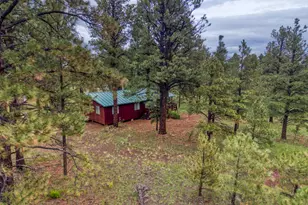 3 County Road N1040 St, Eagar, AZ 85925 - Photo 1