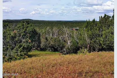 64 County Rd 8145 Lot 89, Vernon, AZ 85940 - Photo 3
