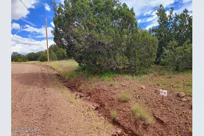 64 County Rd 8145 Lot 89, Vernon, AZ 85940 - Photo 1