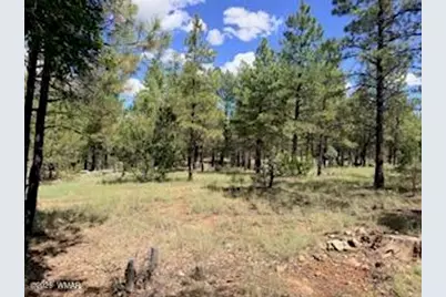 5155 Starlight Drive, Happy Jack, AZ 86024 - Photo 5
