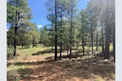 5155 Starlight Drive, Happy Jack, AZ 86024 - Photo 3
