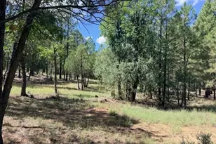 5163 Starlight Dr, Happy Jack, AZ 86024 - Photo 1