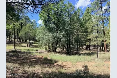 5163 Starlight Drive, Happy Jack, AZ 86024 - Photo 5