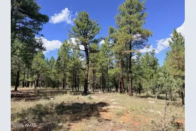 5163 Starlight Drive, Happy Jack, AZ 86024 - Photo 3
