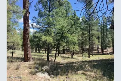 5177 Starlight Drive, Happy Jack, AZ 86024 - Photo 3