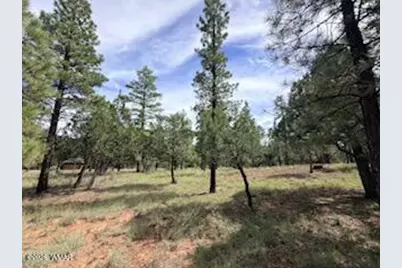 5206 Starlight Drive, Happy Jack, AZ 86024 - Photo 11