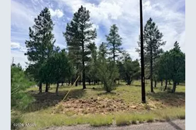 5206 Starlight Drive, Happy Jack, AZ 86024 - Photo 7