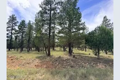 5206 Starlight Drive, Happy Jack, AZ 86024 - Photo 1