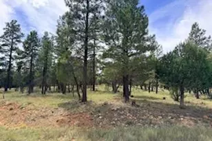 5206 Starlight Dr, Happy Jack, AZ 86024 - Photo 1
